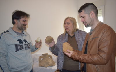 El Ayuntamiento comienza la catalogación de sus piezas arqueológicas para ponerlas en valor